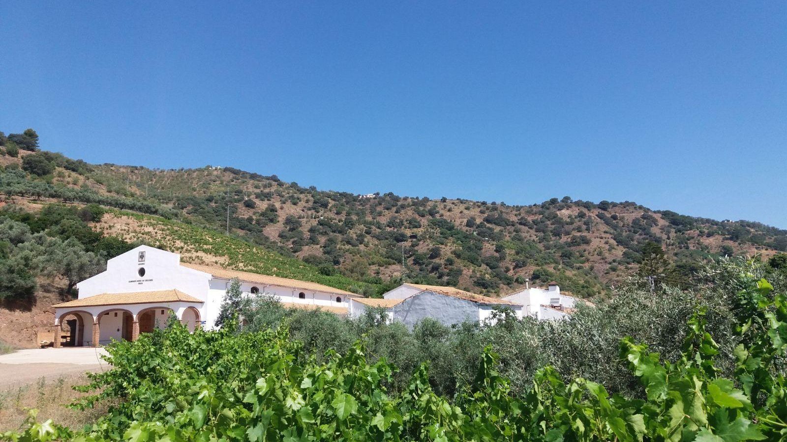 La Bodega de la Antigua Casa de Guardia situada en Olías