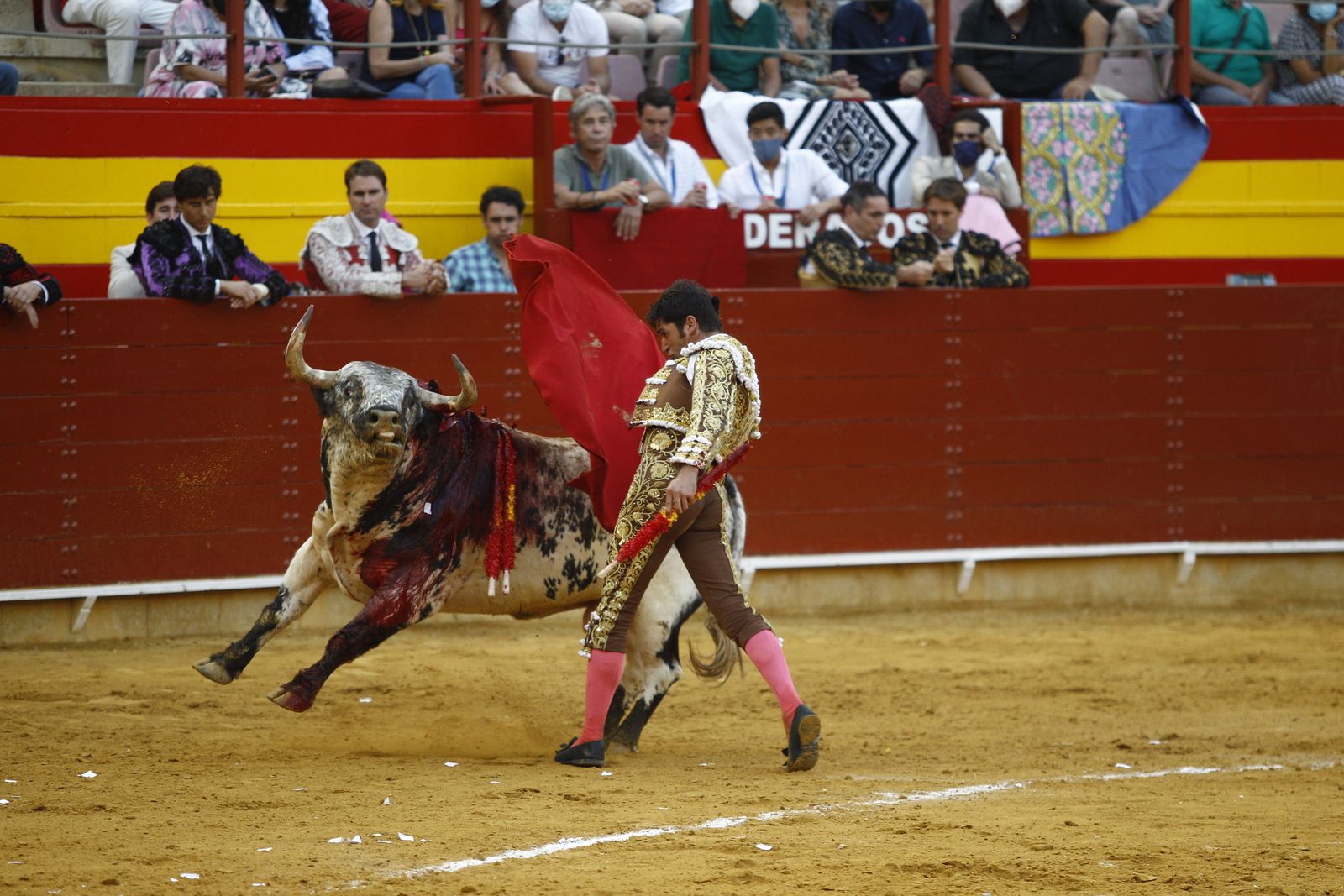 Fotogalería corrida de toros. Cayetano Rivera, Paco Ureña y Roca Rey. Roquetas de Mar.