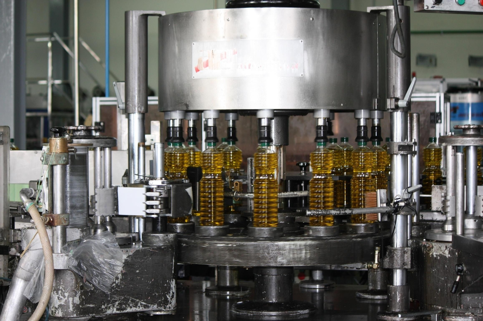 Llenado de botellas de aceite en una almazara cordobesa.