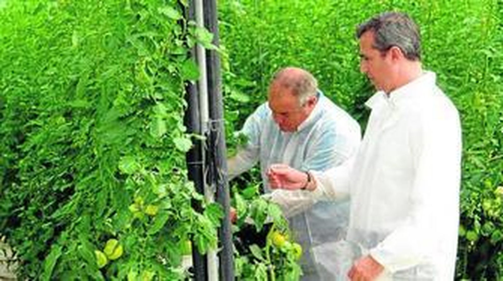 Pionera en la certificación agroalimentaria en España