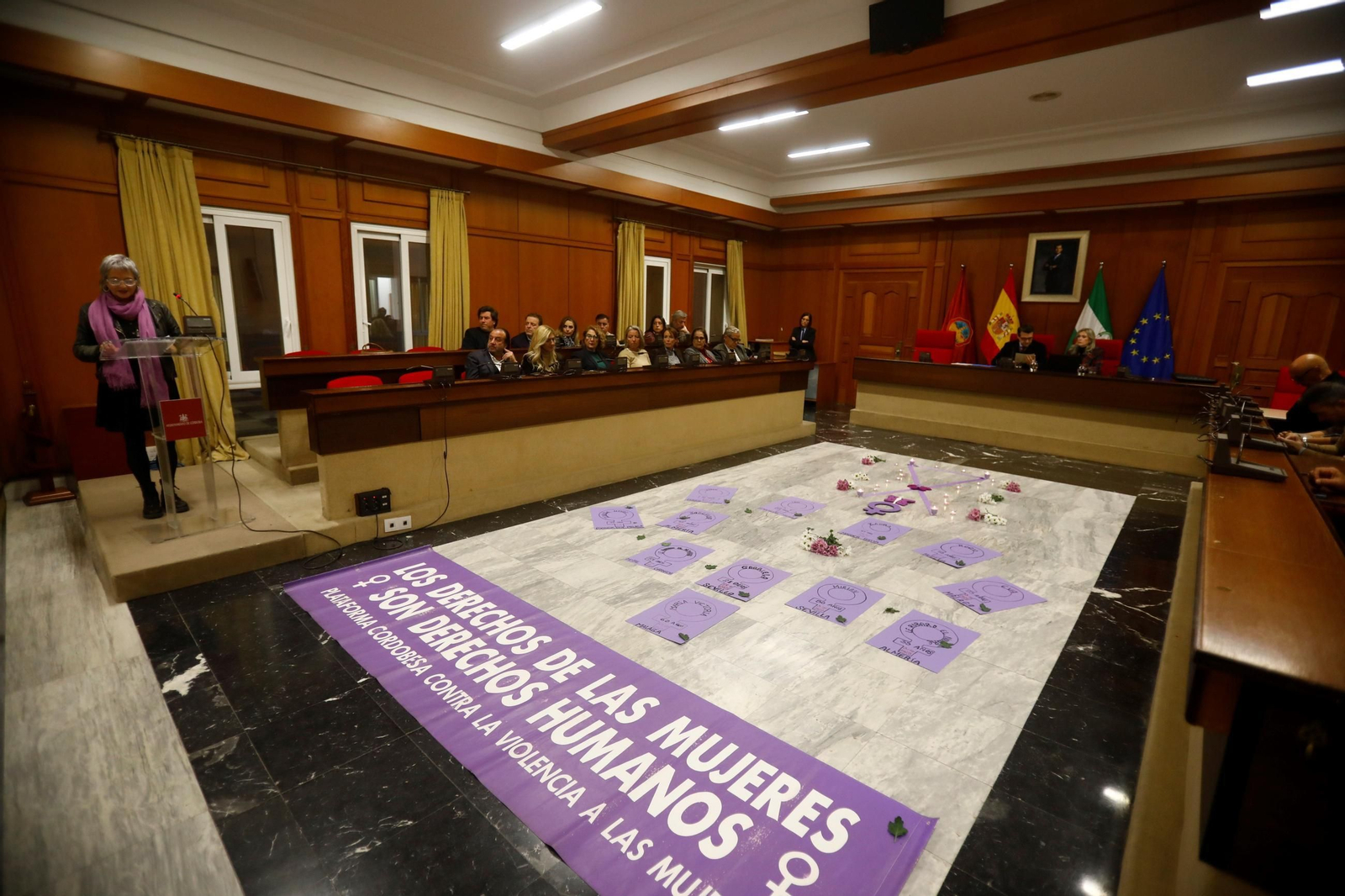 Pleno por el 25N en el Ayuntamiento de Córdoba