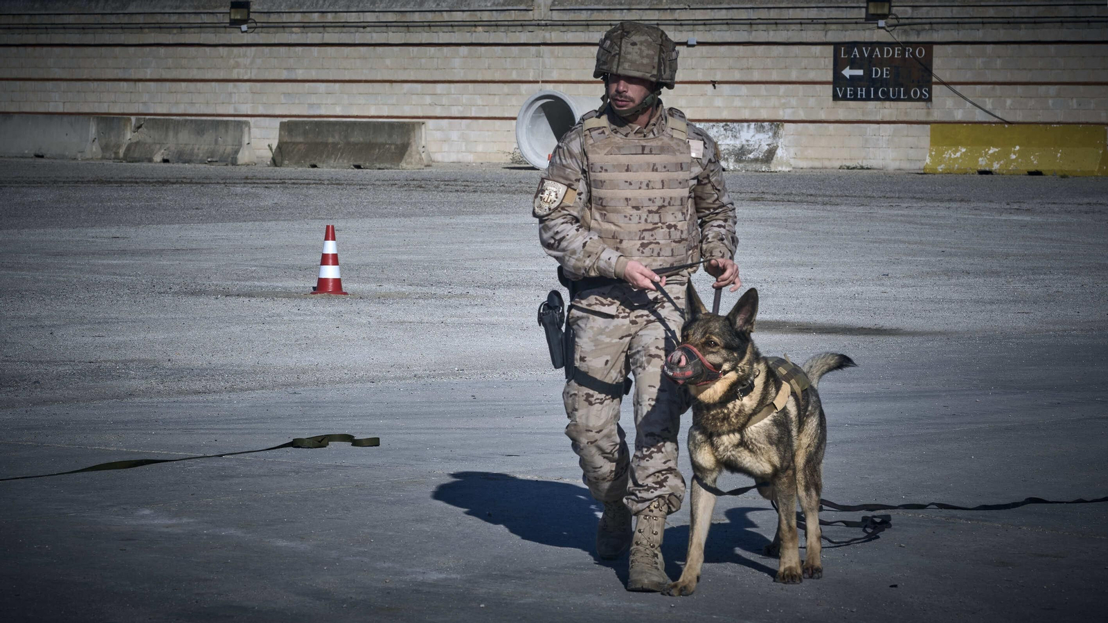 Maniobras Canex con unidades caninas de las Fuerzas Armadas, Policía y Guardia Civil