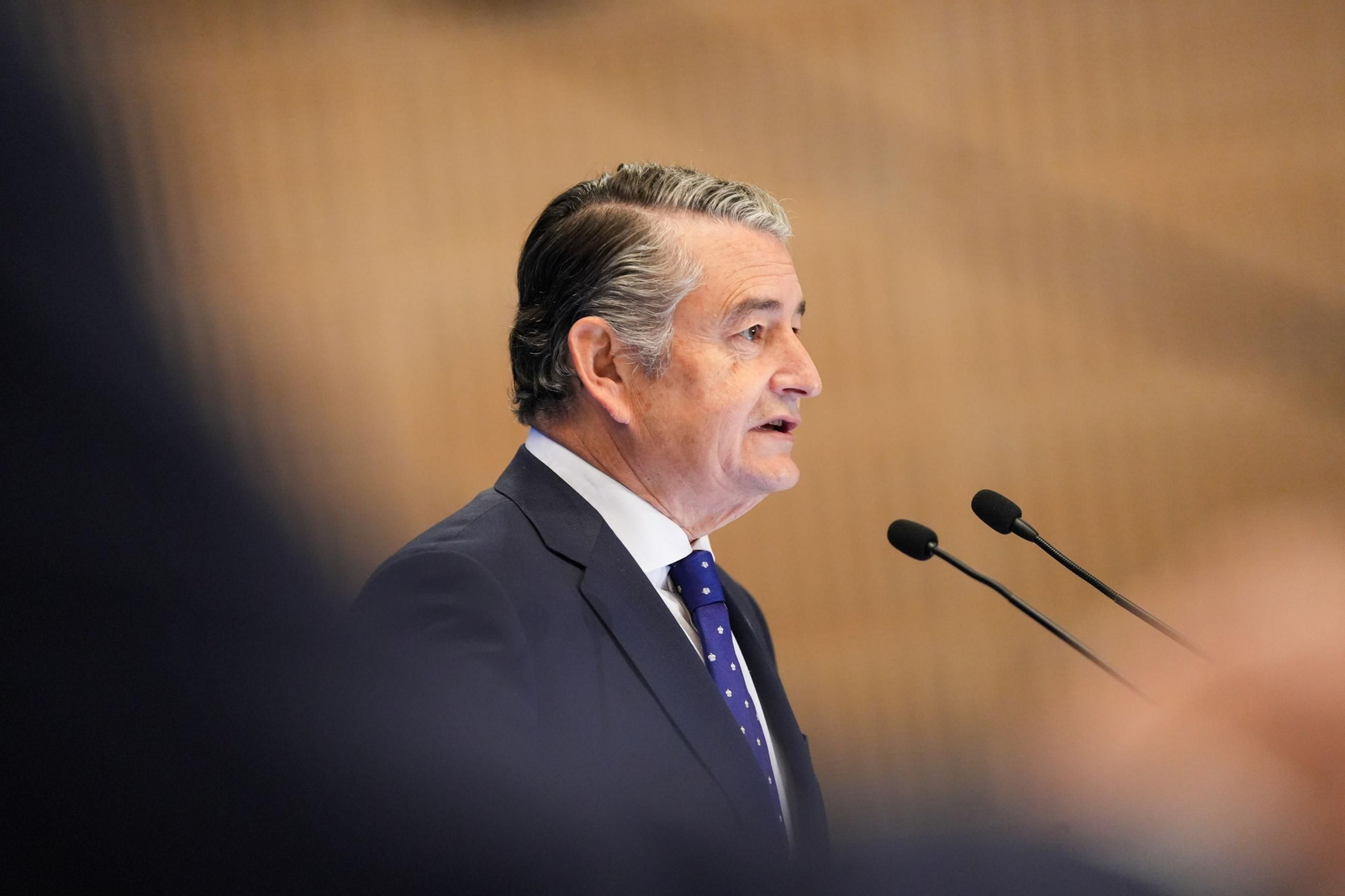 El consejero de Sanidad y Presidencia, Antonio Sanz.