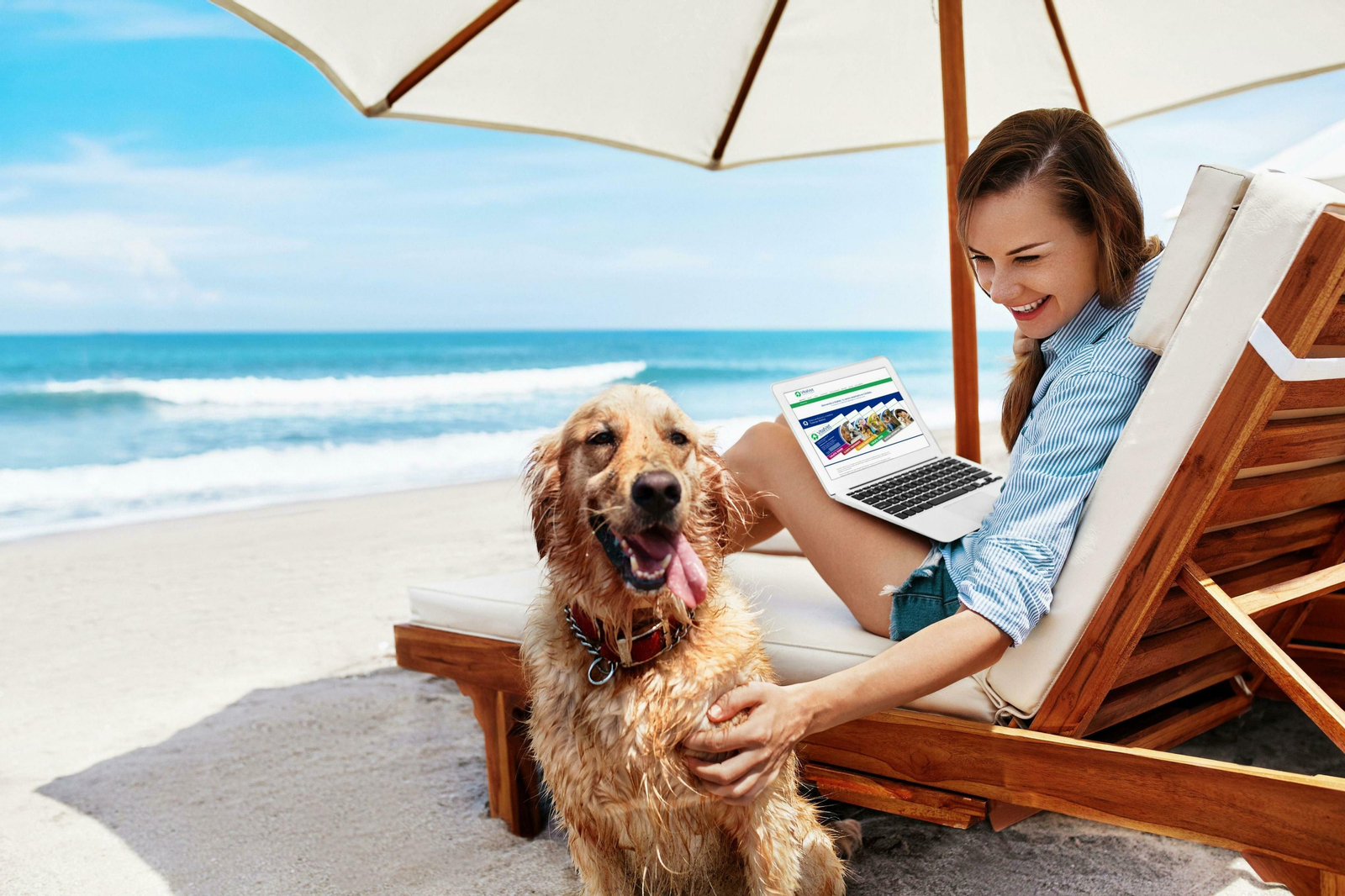 Secretos veterinarios: ¿Te consideras un petófilo?