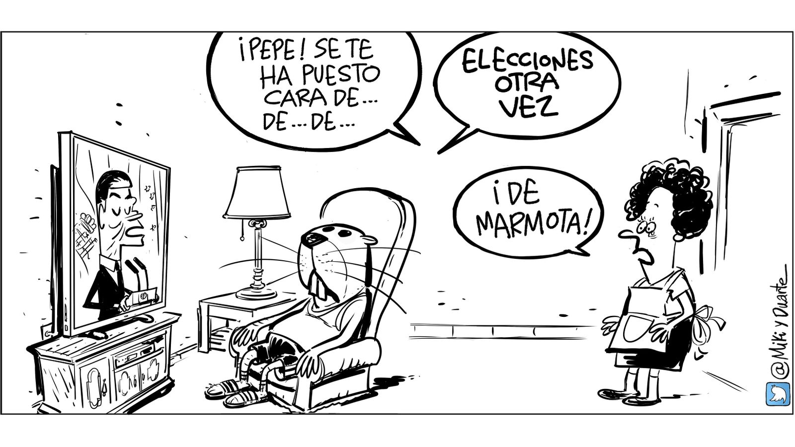 Crónica de unas elecciones anunciadas (en viñetas)
