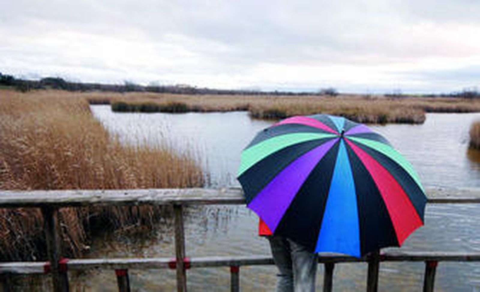 Un visitante en el Parque Nacional de Tablas de Daimiel, uno de los humedales más importantes de Europa.