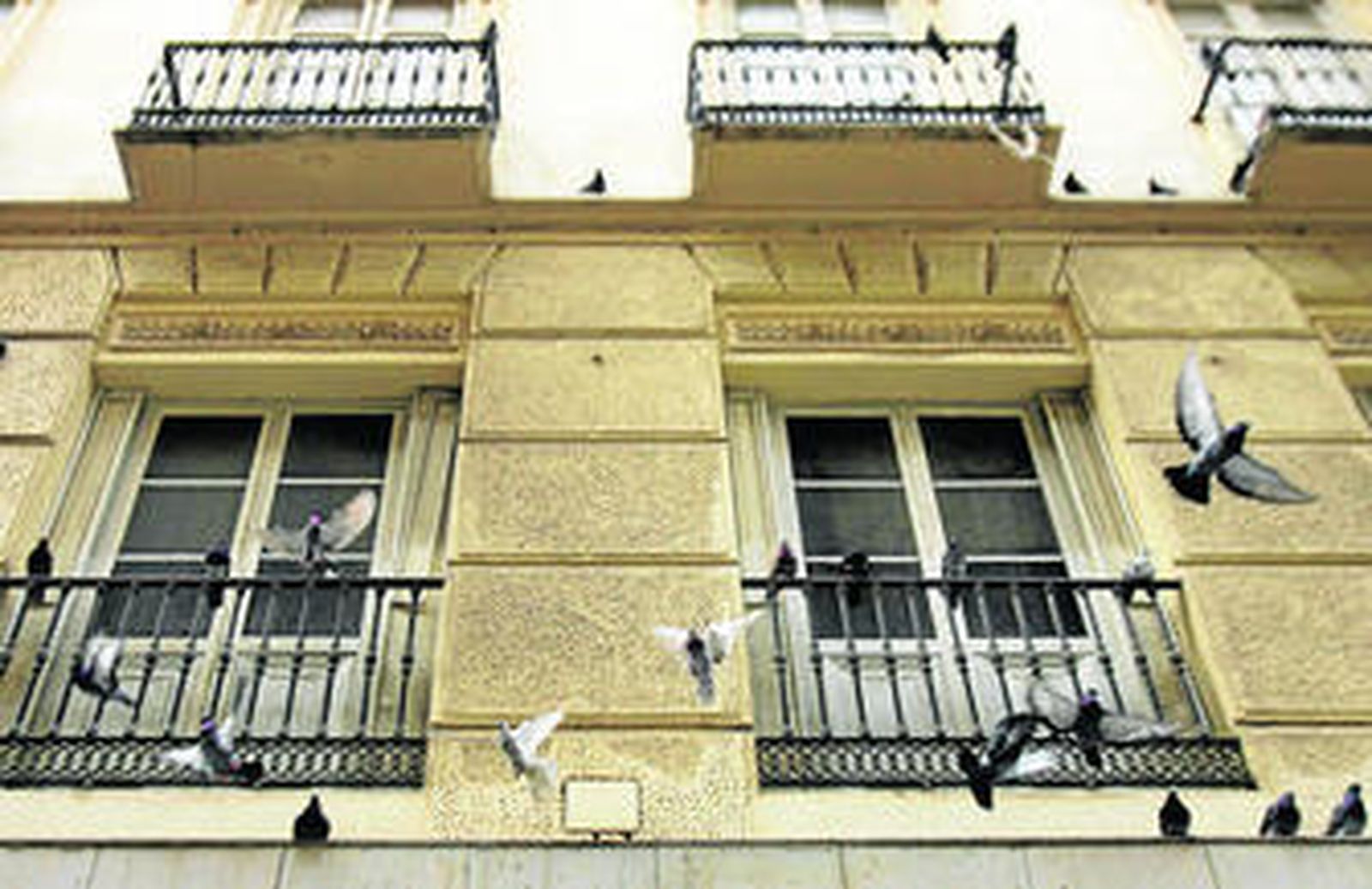 Grupo de palomas posadas en la fachada de un edificio del centro histórico de Málaga.