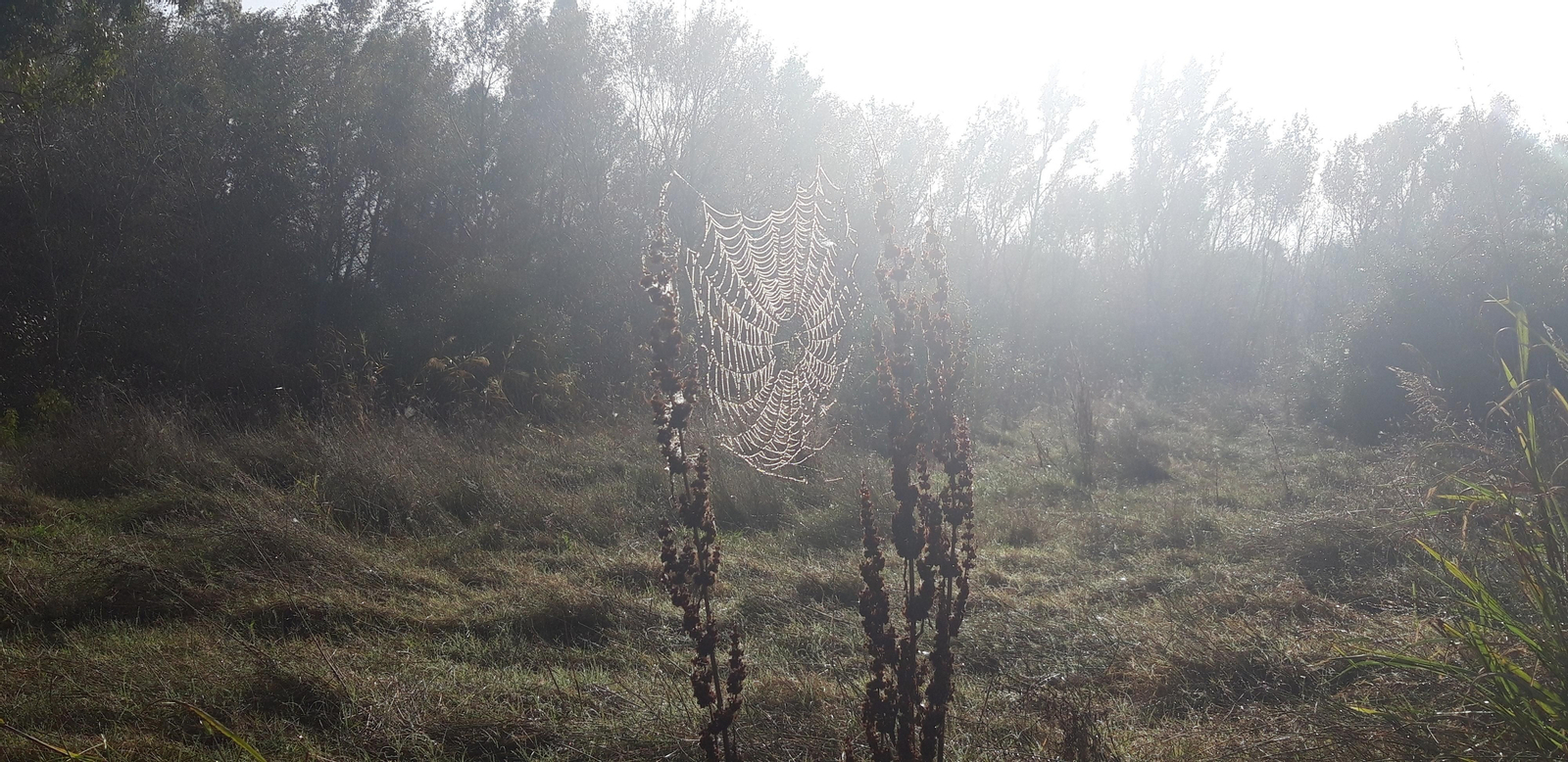 Fotos del Corredor del Guadiamar y el Vado del Quema