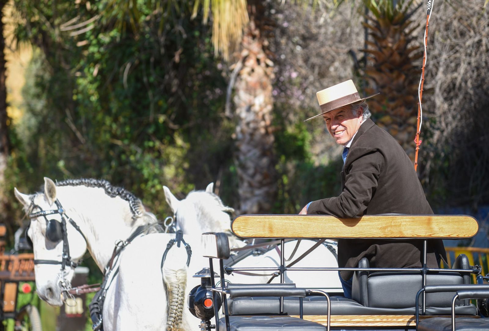 Las mejores imágenes de la Marcha Hípica Córdoba a Caballo del 28F de 2026