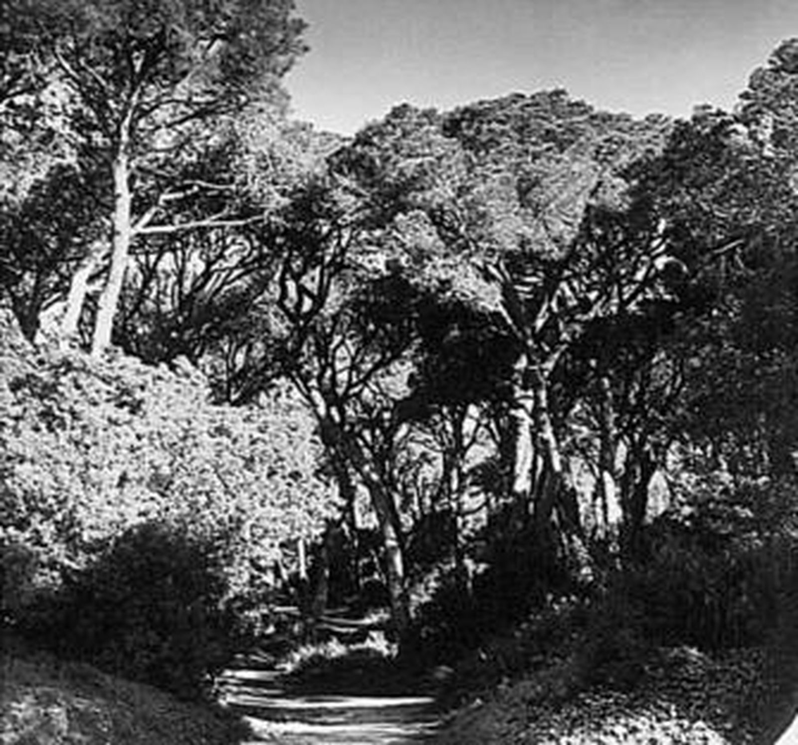 Imagen del Parque de las Canteras de Puerto Real.