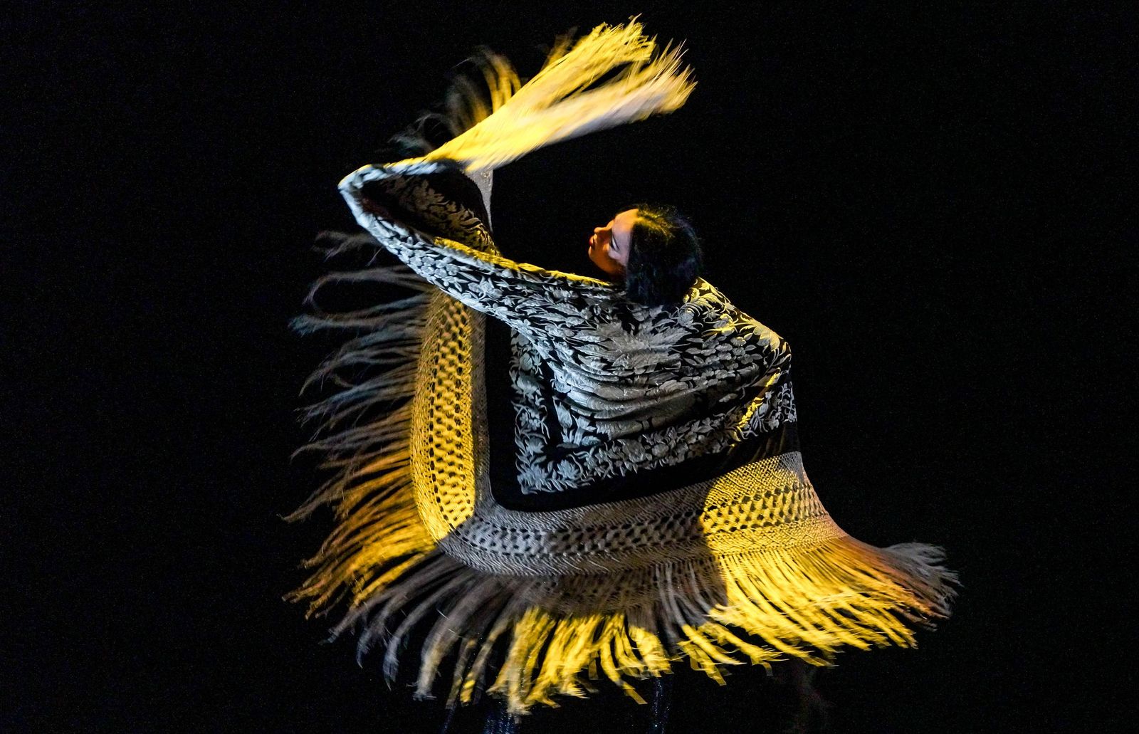 Imágenes de la Compañía de Belén López 'Latidos'