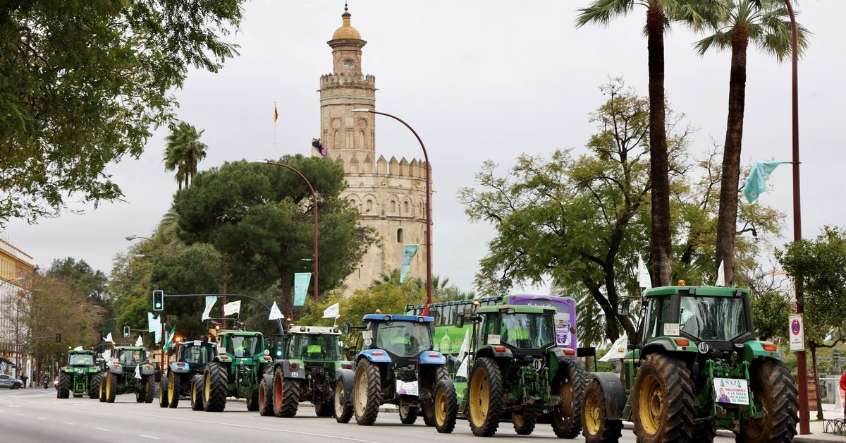 Análisis de la tractorada de Sevilla: Mercosur, la PAC, el temporal, los altos costes de producción...