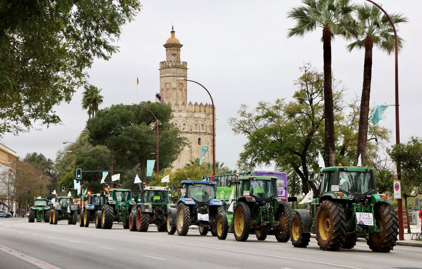 Tractorada en Sevilla (16998835)