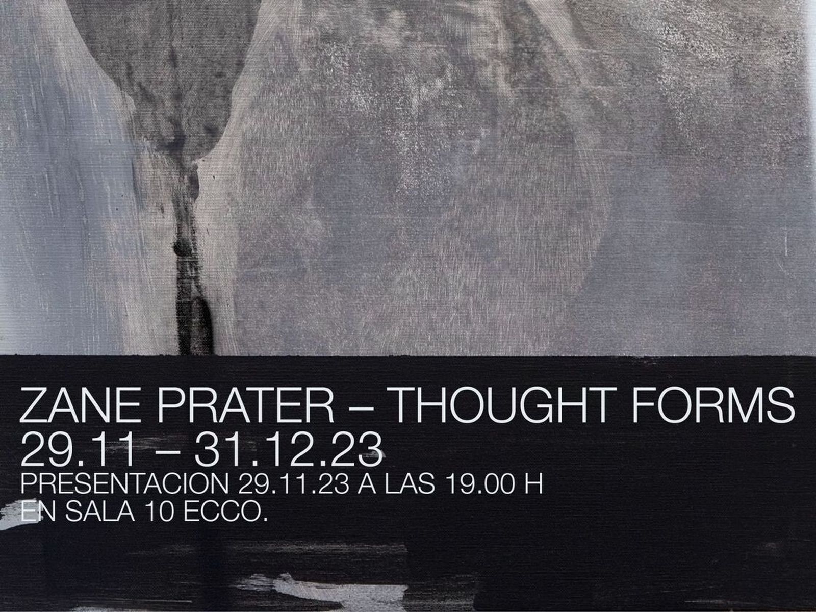 Detalle del cartel de la exposición de Zane Prater.