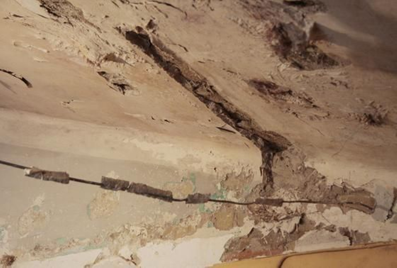 Foto: Victoria Hidalgo