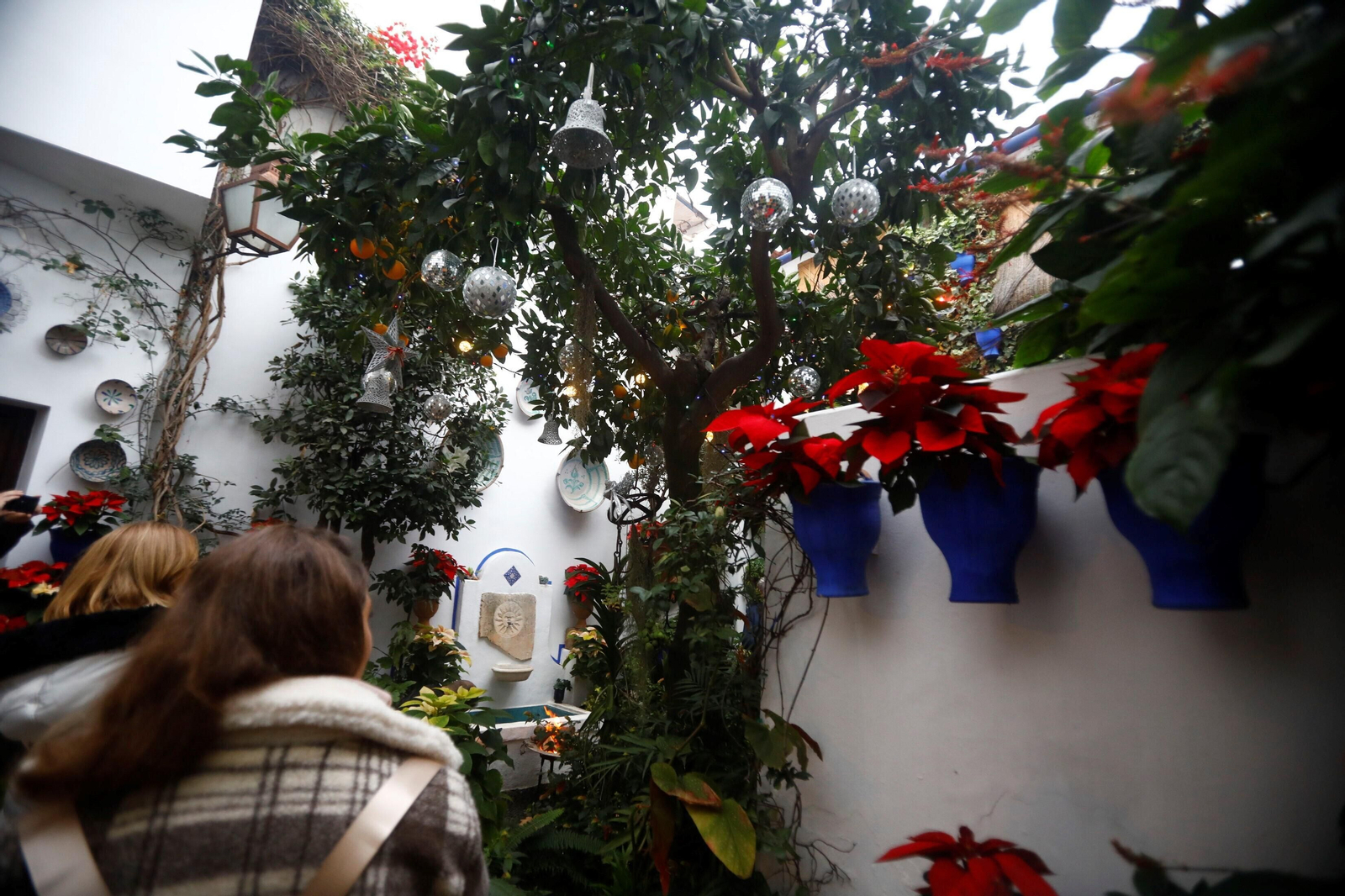 Las mejores imágenes de la apertura de los Patios en Navidad