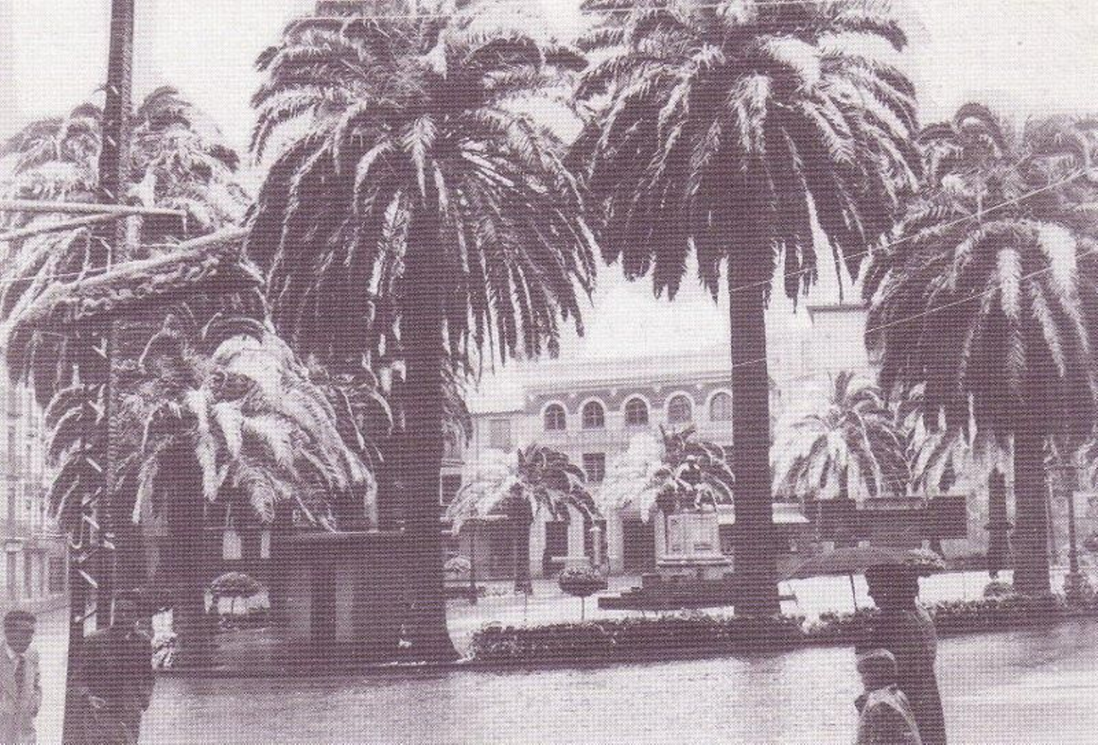 Plaza de la Constitución en 1955.