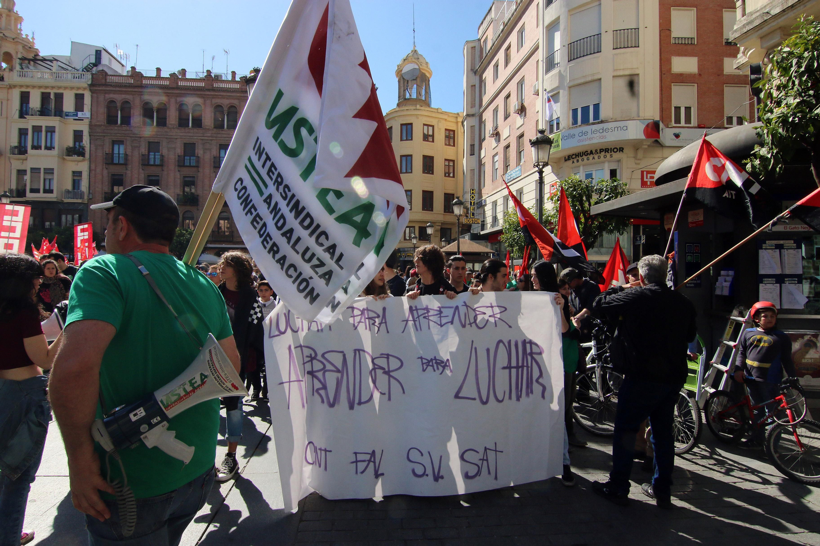 La manifestación contra la Lomce, en imágenes
