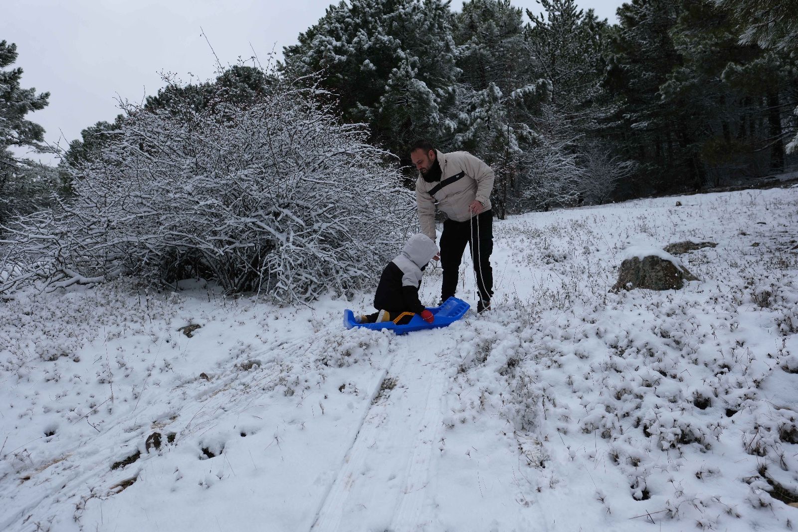 La nieve tiñe de blanco la Serranía de Ronda