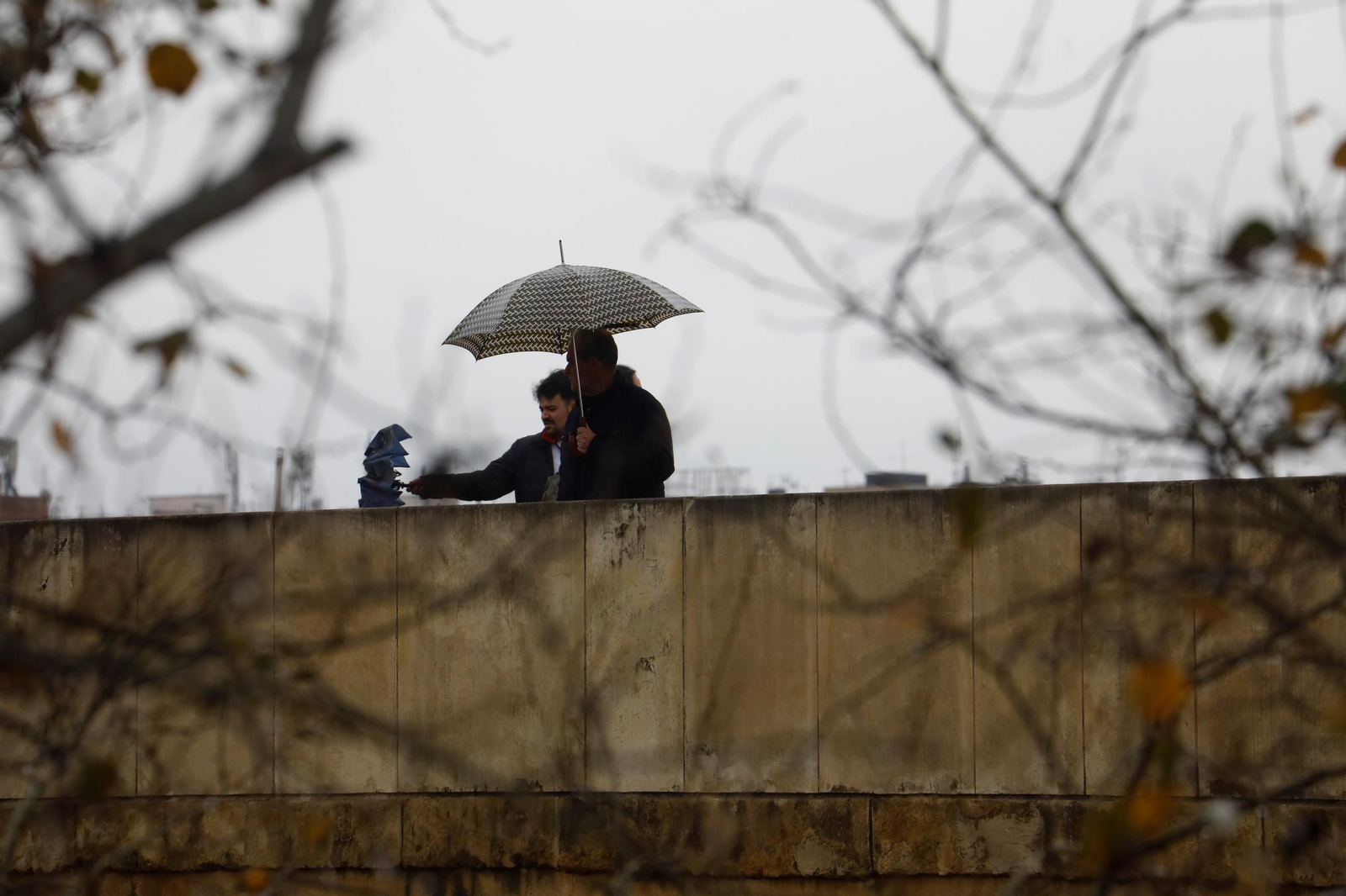 El paso de la borrasca Herminia por Córdoba, en imágenes
