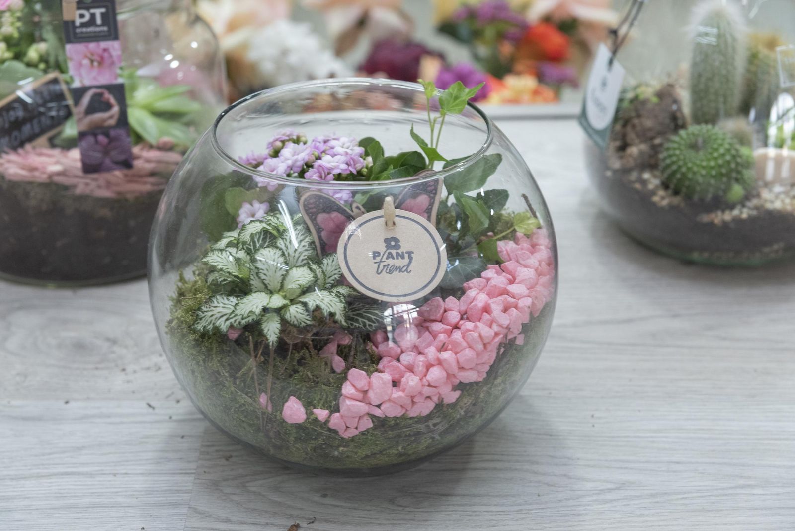 Fotos de los comercios en el mercado Diego Ponce en San Roque