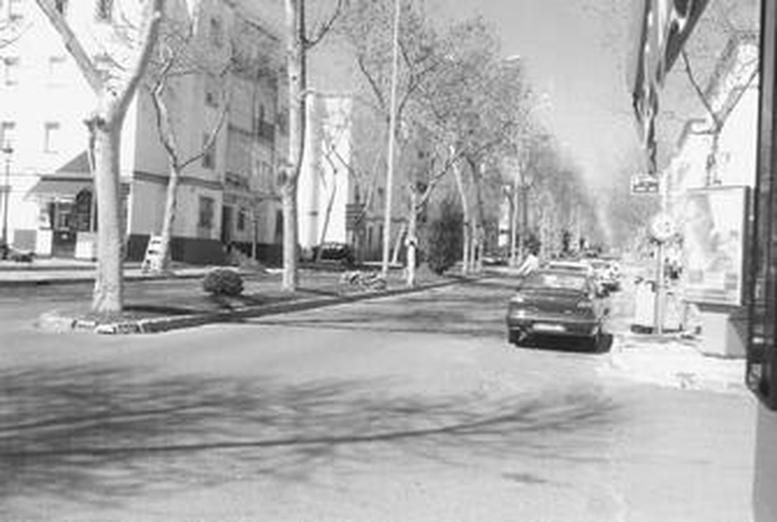 La avenida no hace mucho tiempo.