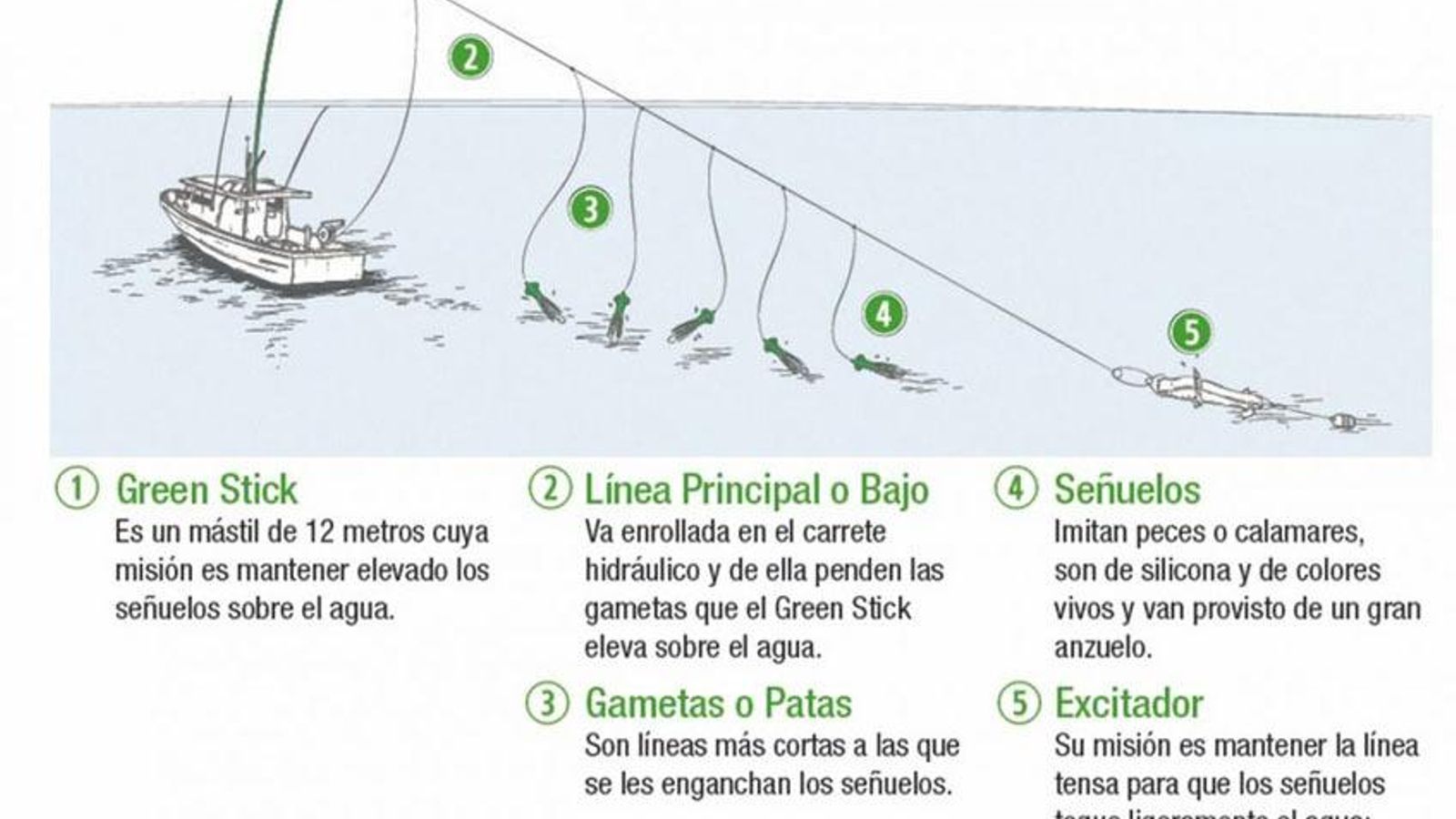 Así se pesca el atún