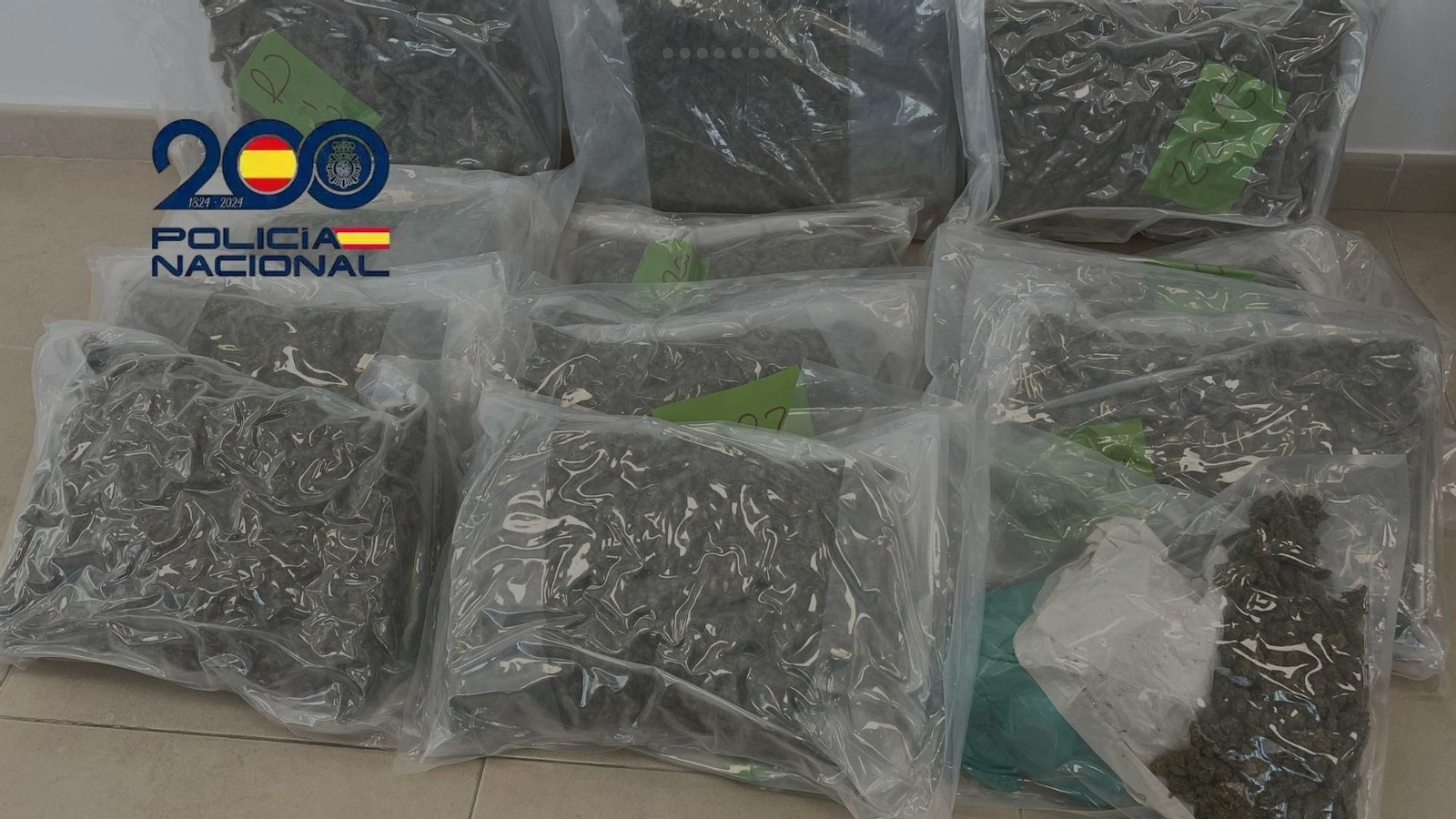 Marihuana localizada en el interior de la furgoneta.