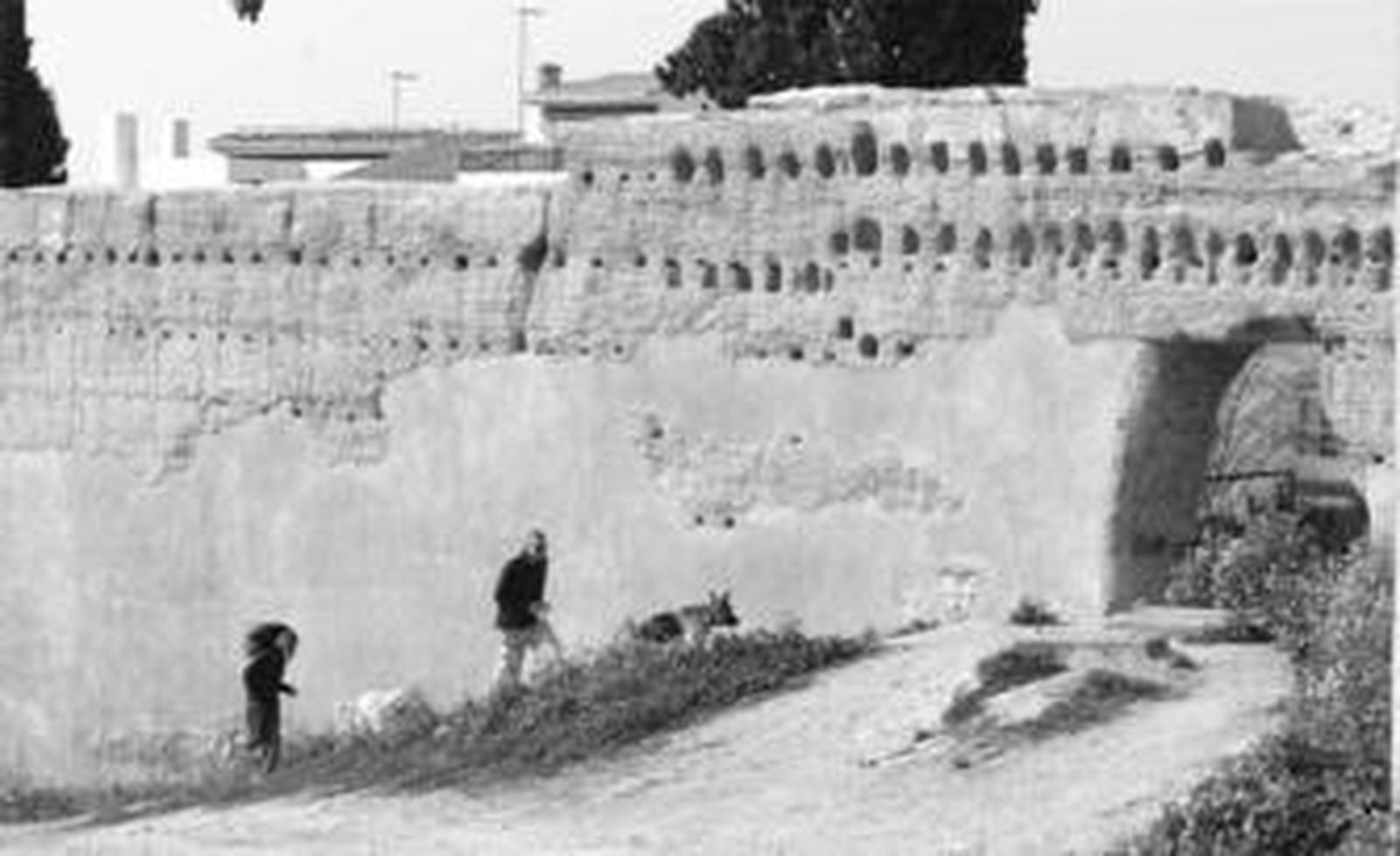 Restos de la Muralla Alberzana, situada junto a la Carretera de Murcia.