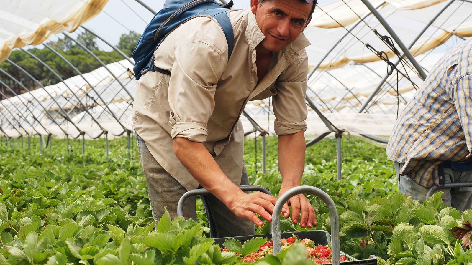 José Antonio Fajardo (41 años)