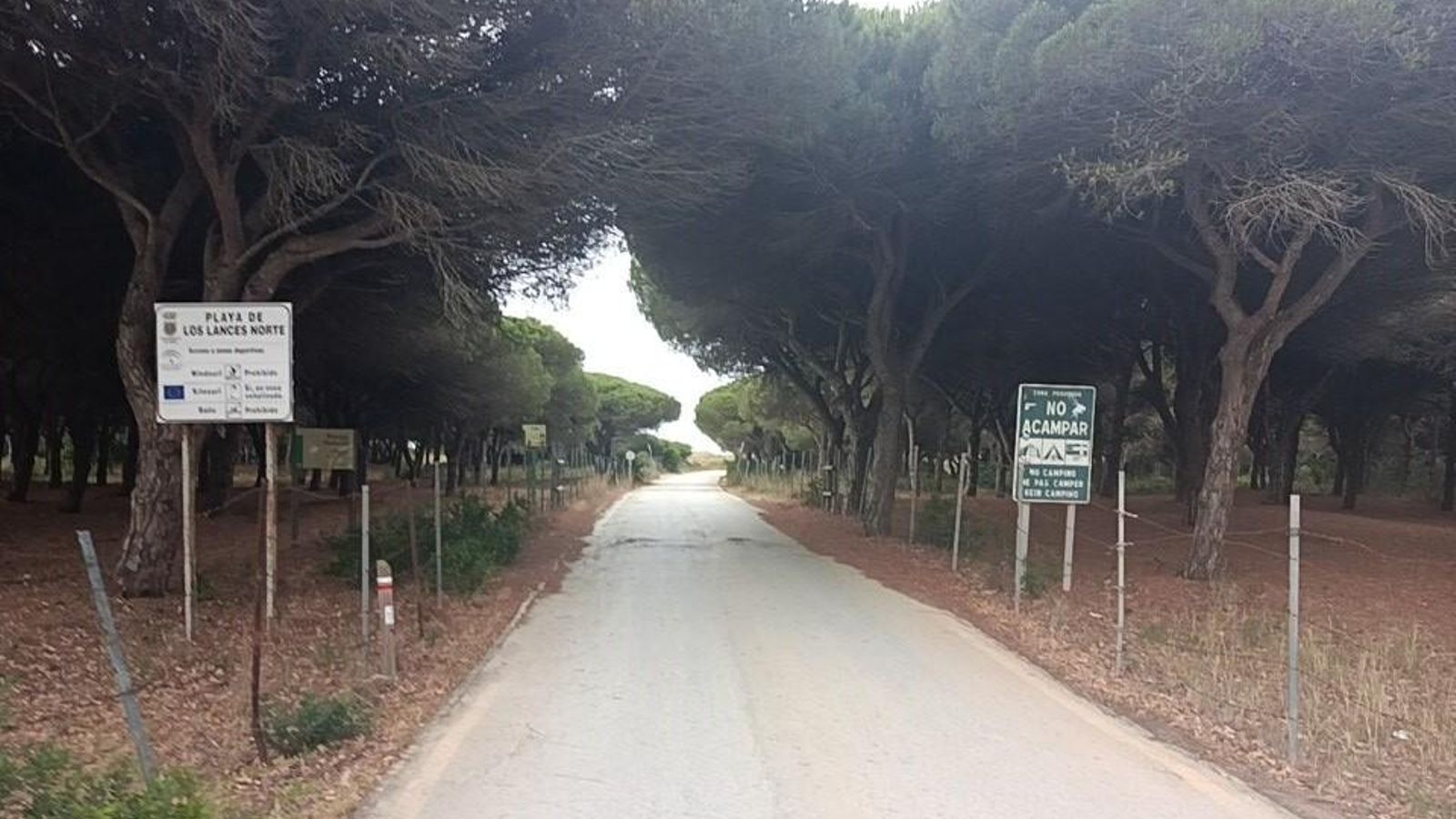 Por este carril volvemos a la playa.