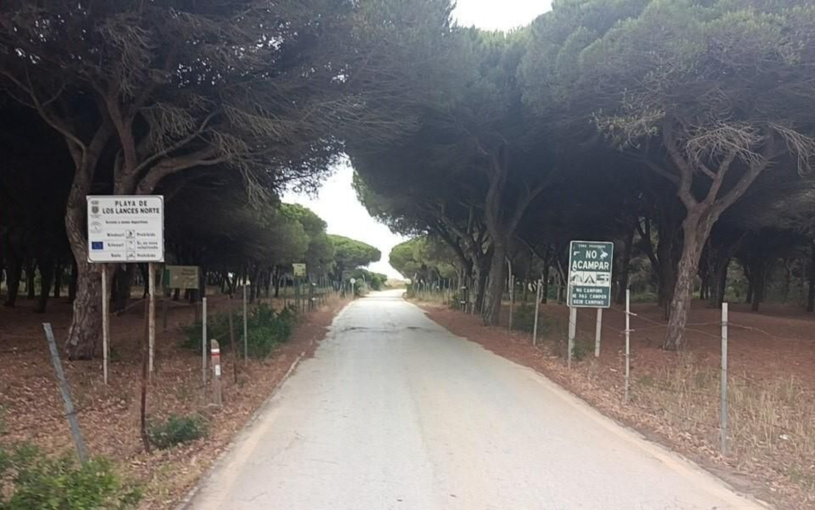 Por este carril volvemos a la playa.