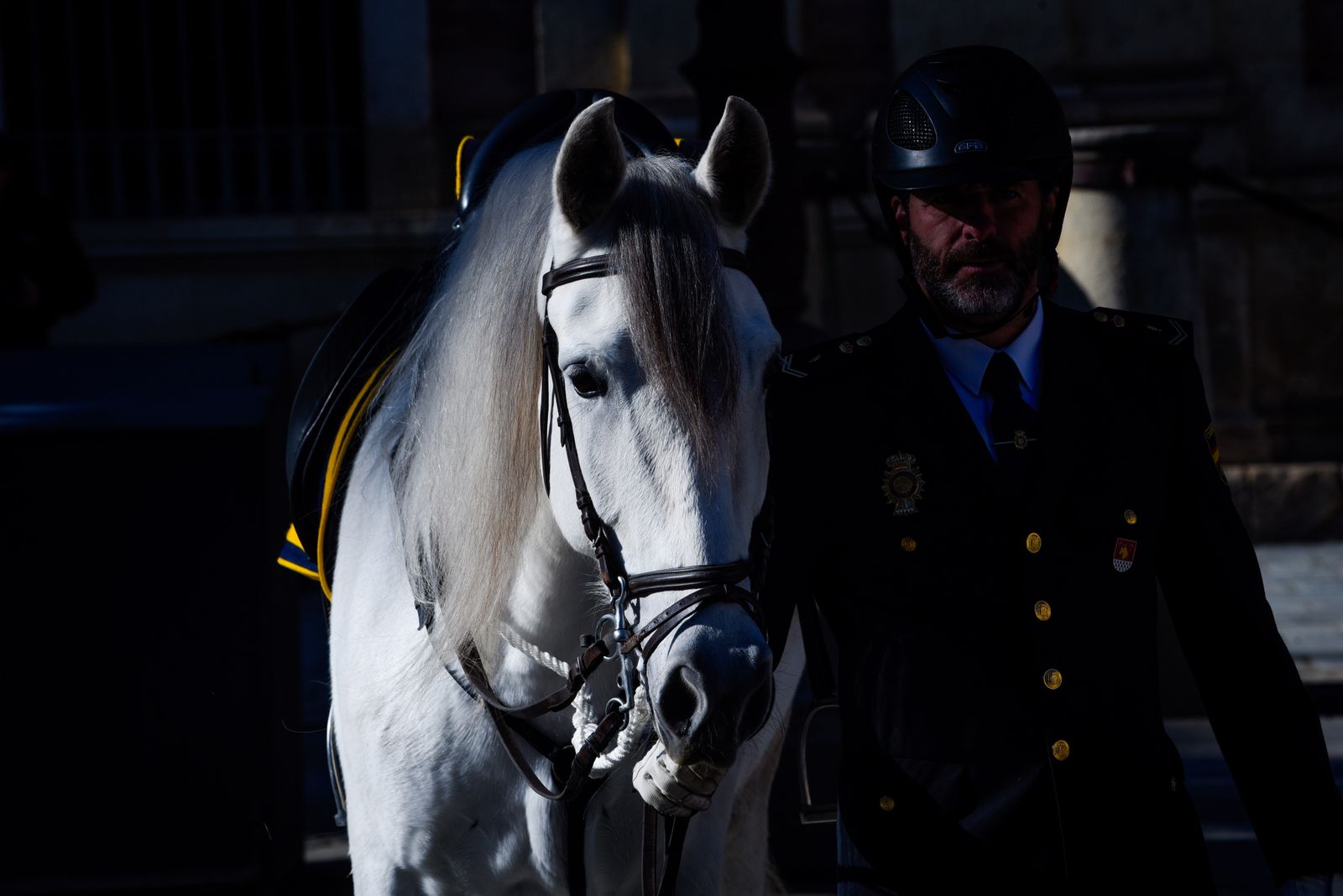Caballería y guías caninos de la Policía Nacional celebran el patrón de los animales