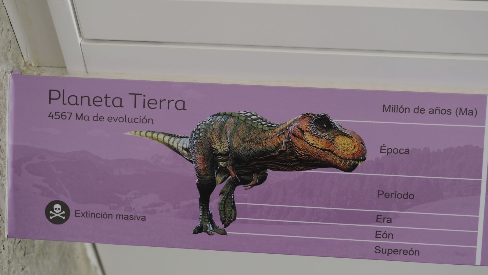 Las mejores imágenes del Pabellón de Historia Natural de la UAL