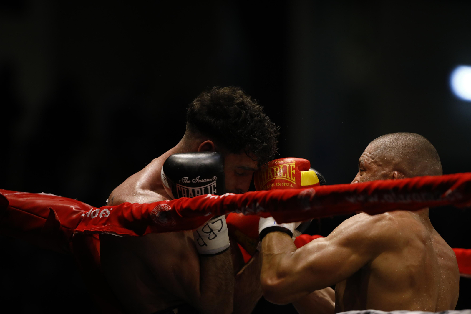 Las imágenes del combate entre José Luis Navarro Jr y Ronny Landaeta en Córdoba