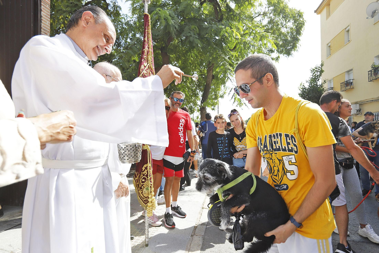 Imágenes de la procesión de San Francisco de Asís por las calles de Pérez Cubillas y bendición de animales y plantas