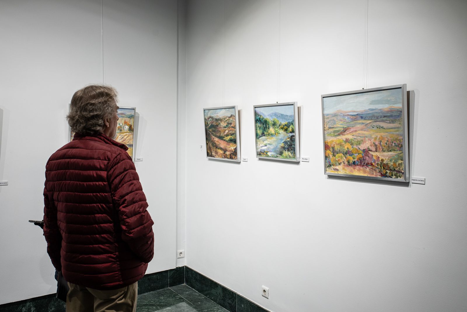 Imágenes de la inauguración de la exposción "Paisajes" de Pilar Barroso