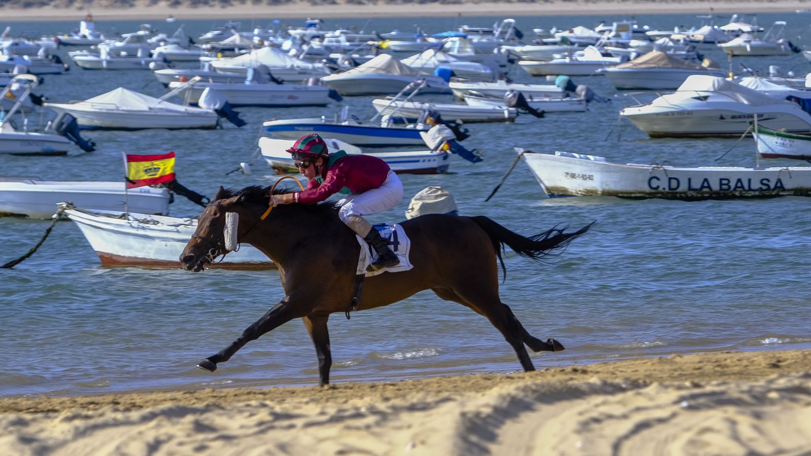 Las carreras de caballos en Sanlúcar en imágenes.