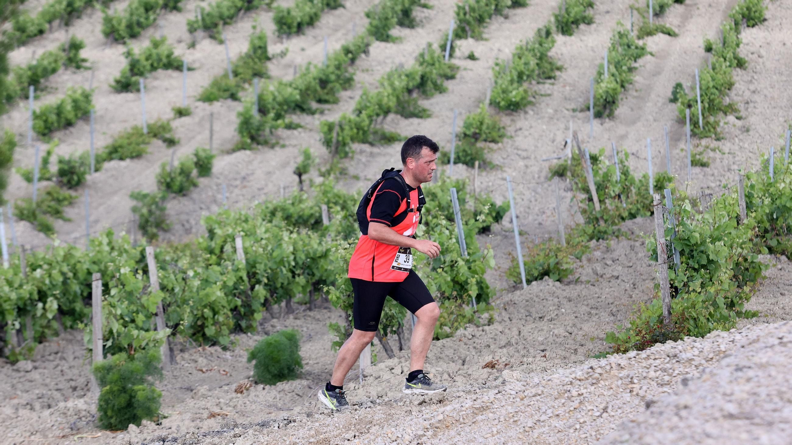 Búscate en la Sherry Maratón 2025 de Jerez (I)