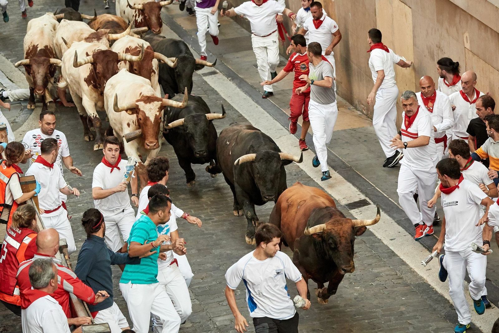 Los toros de La Palmosilla en el séptimo encierro de San Fermín