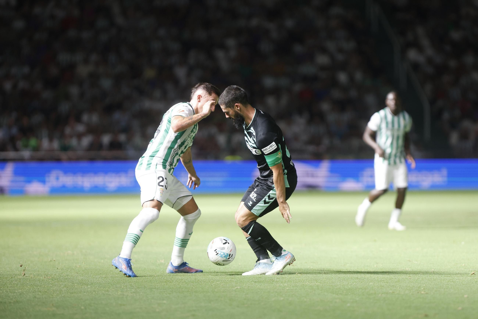 Las mejores fotos del partido en El Arcángel entre el Córdoba CF y el Real Betis