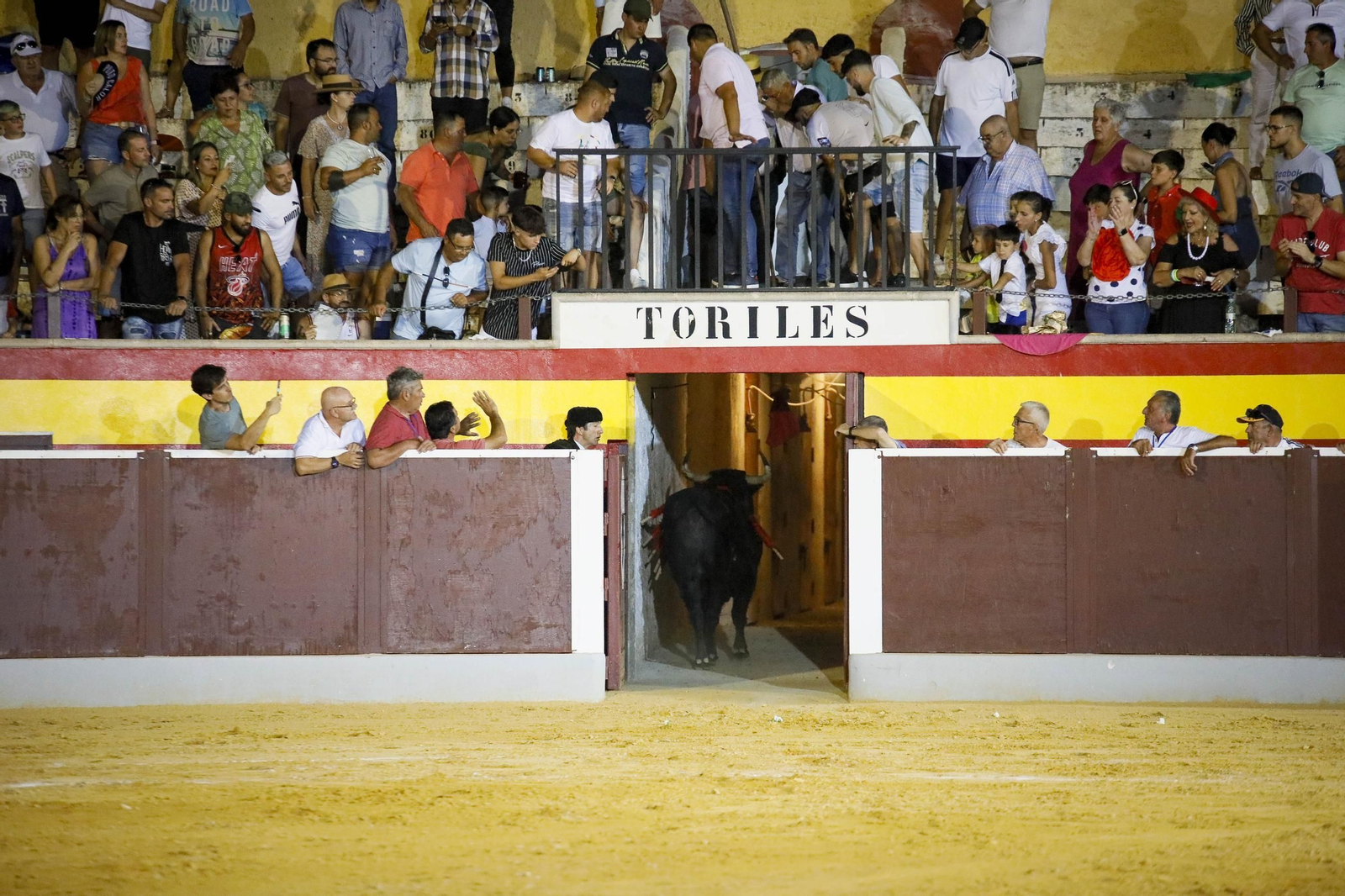 Corrida de toros Berja con un toro indultado, en imágenes