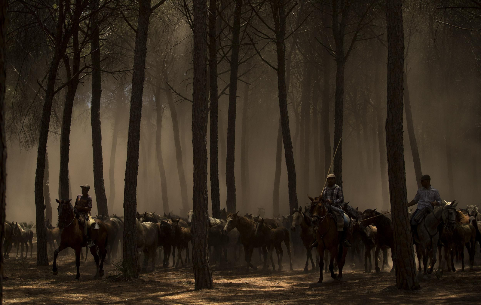 La Saca de las Yeguas, en imágenes