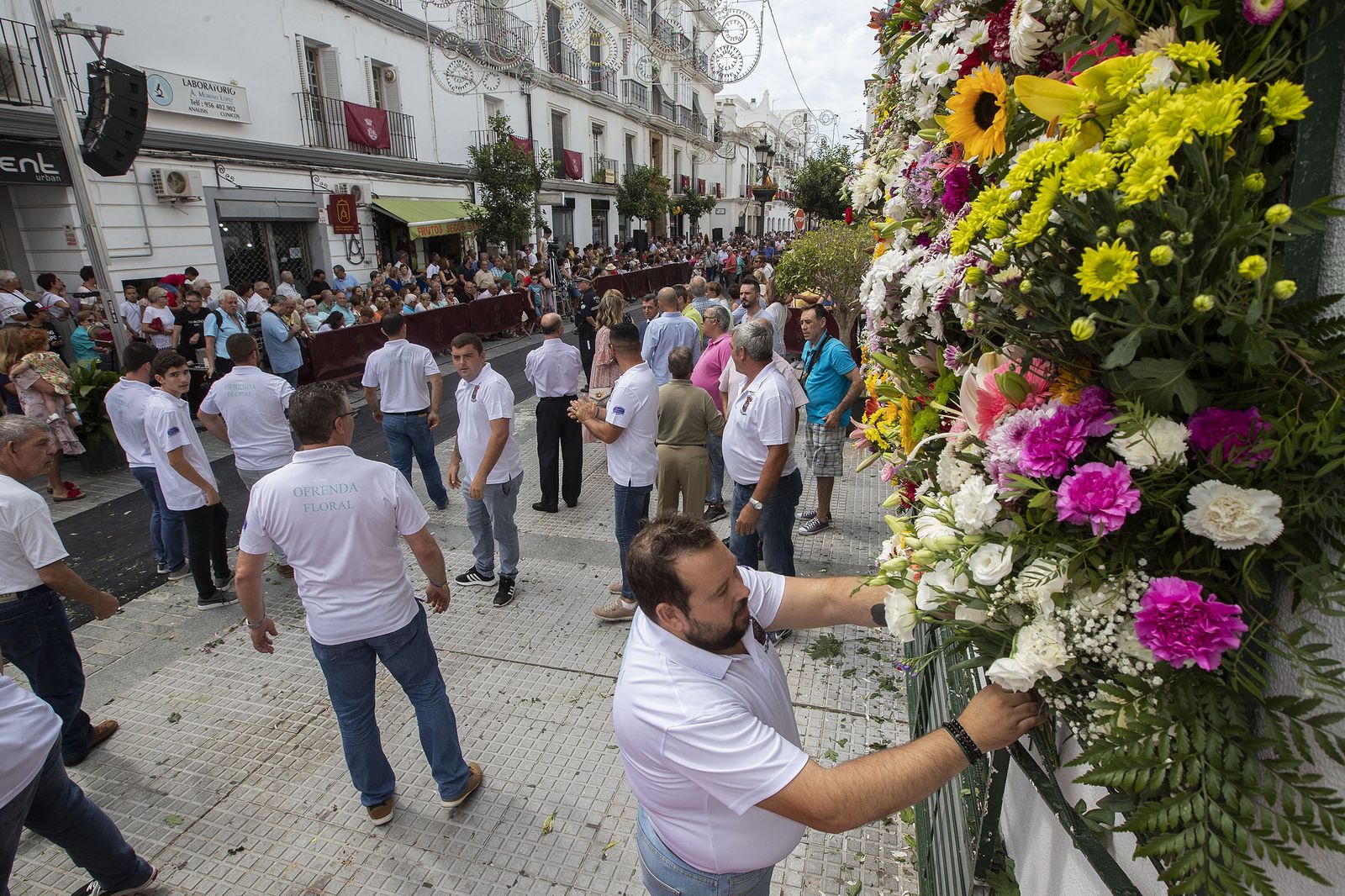 Imágenes de la ofrenda floral a la Patrona
