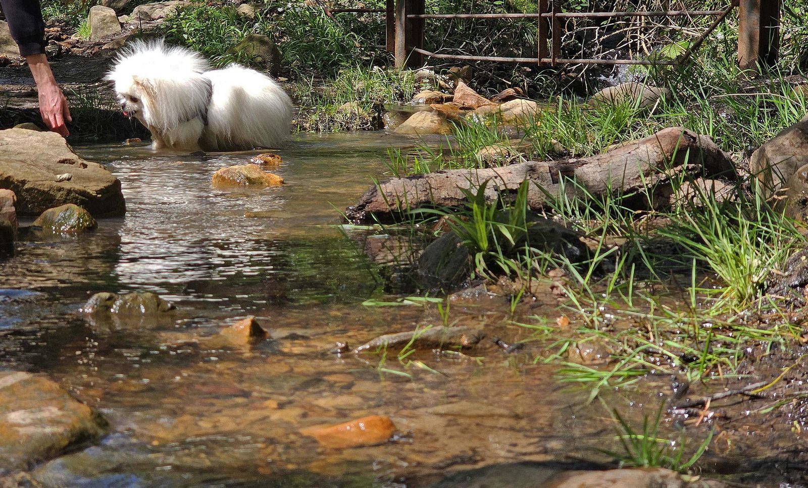 Fotos del río de la Miel tras las borrascas de marzo