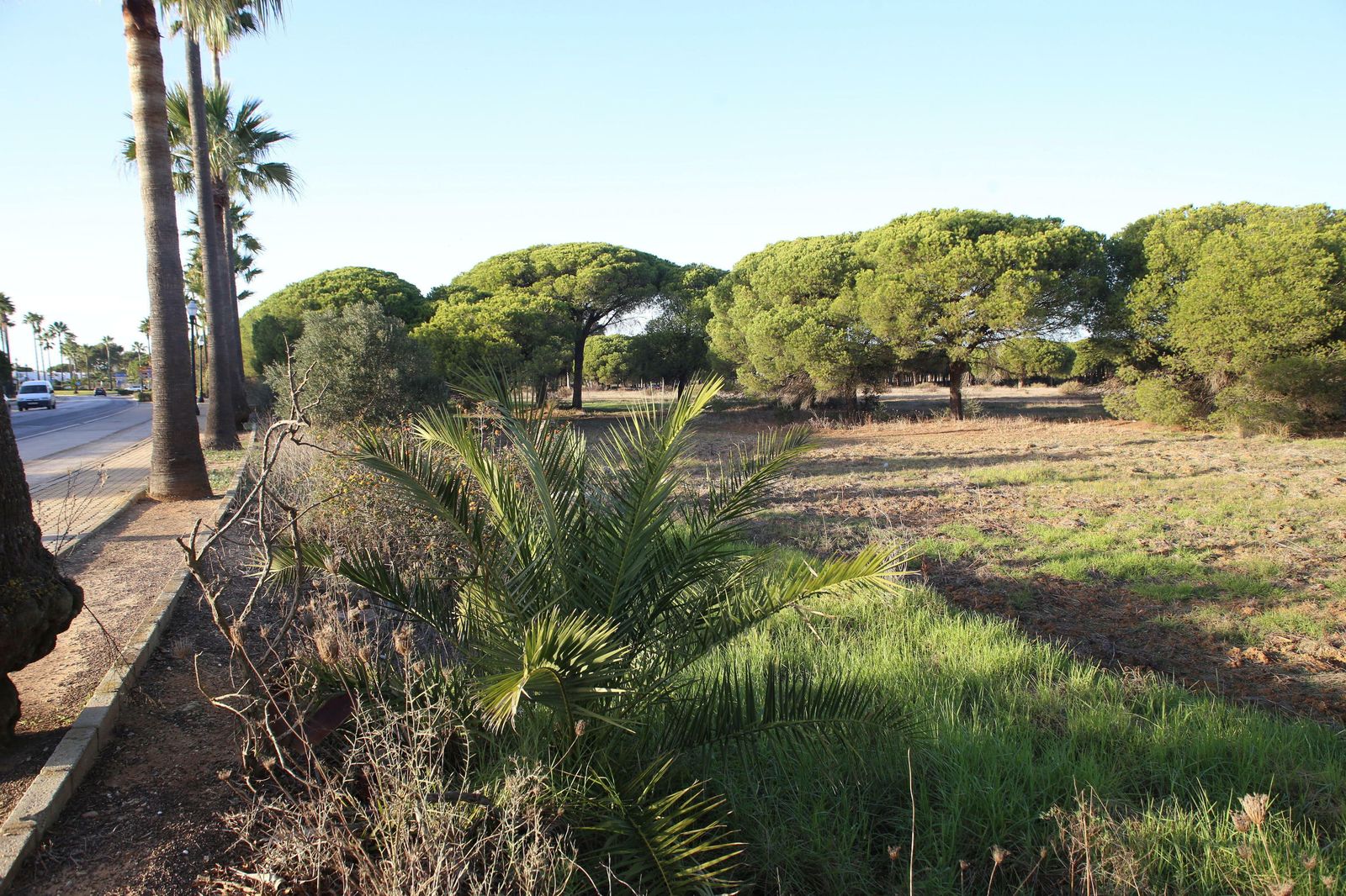 Terrenos junto a la Escuela de Tenis Heit donde se construirá el centro educativo.