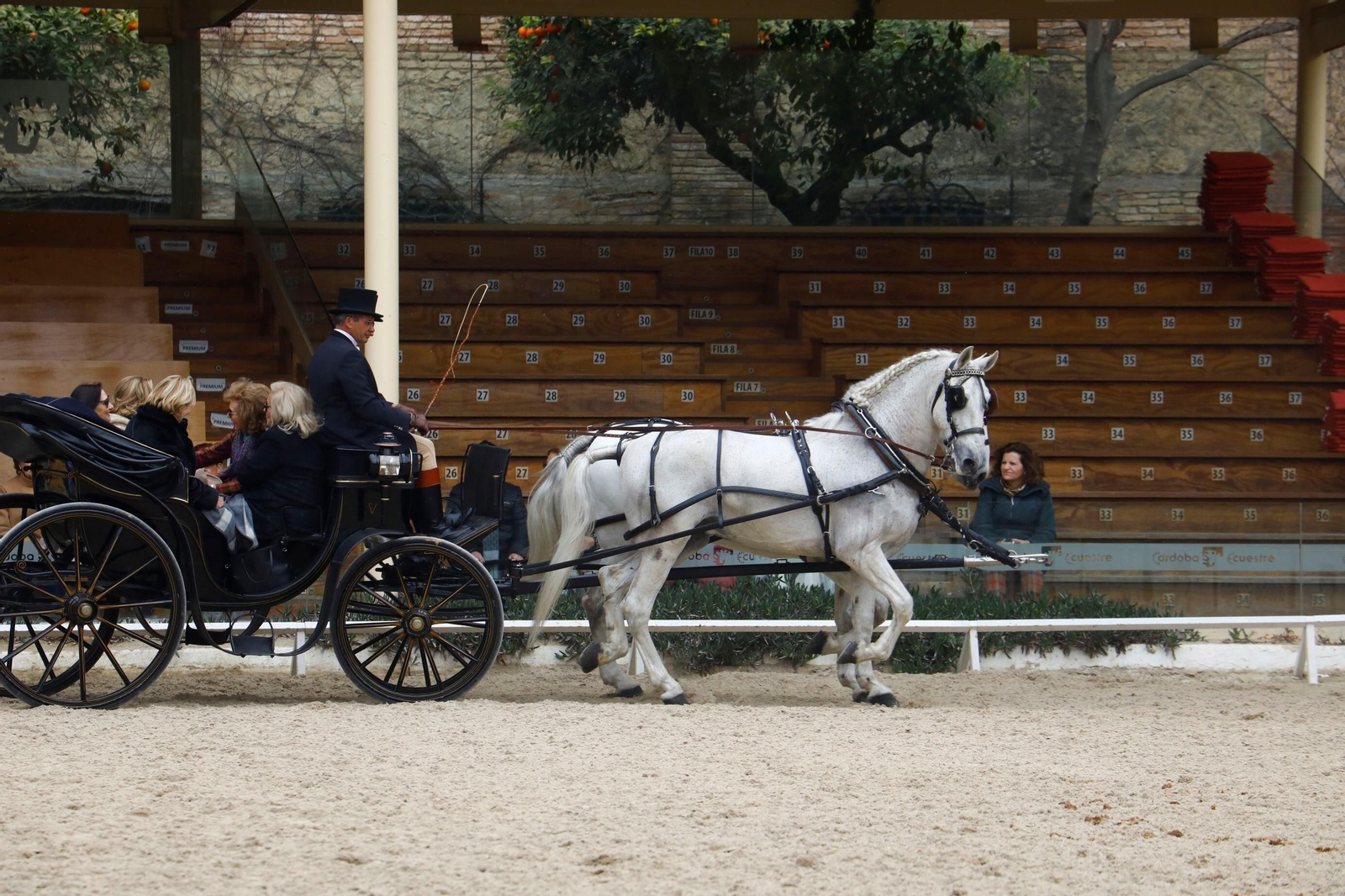 La exhibición de enganches en Caballerizas Reales de Córdoba, en imágenes