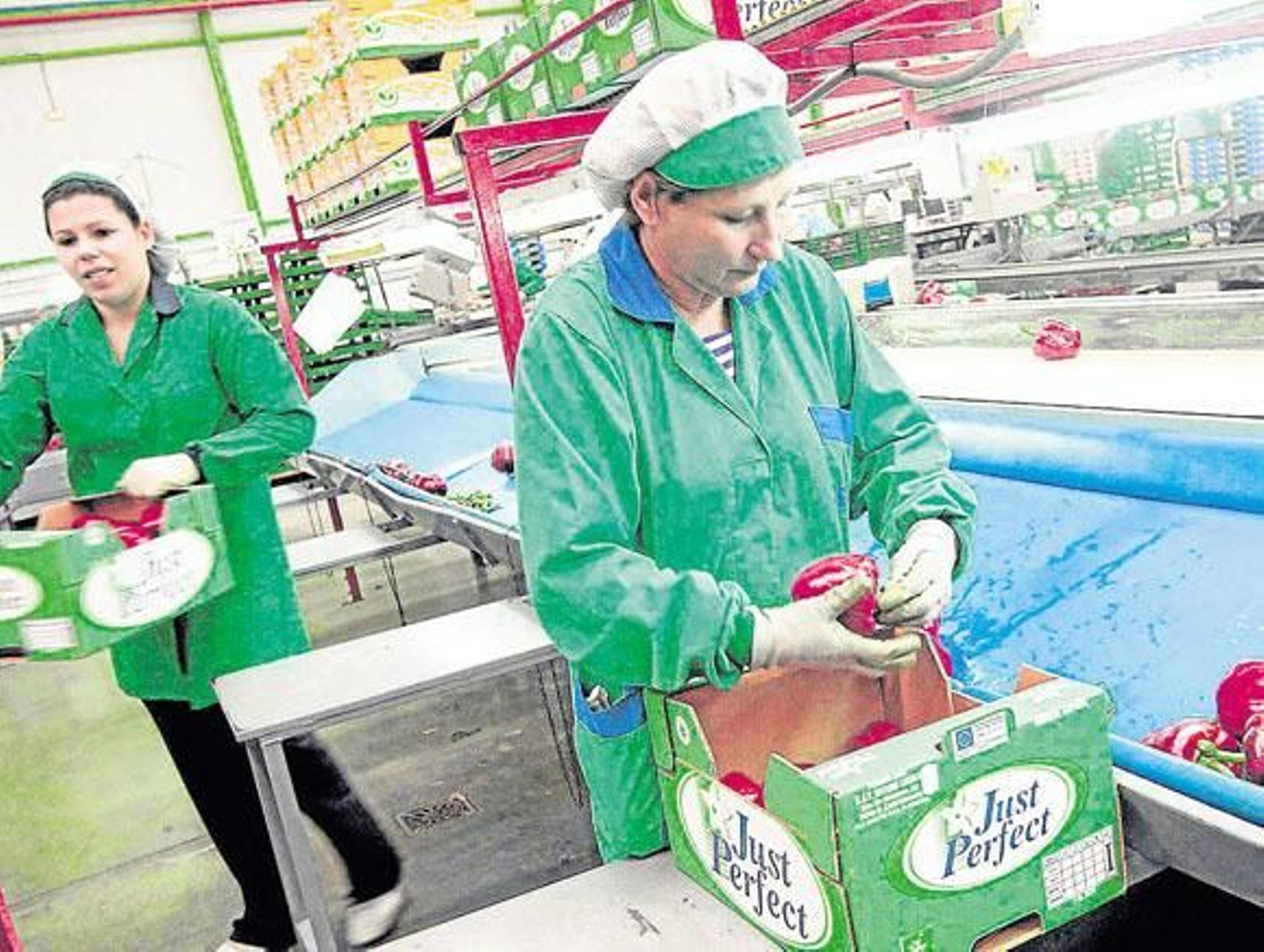 Nature Choice: Apuesta por el segmento de las minihortalizas