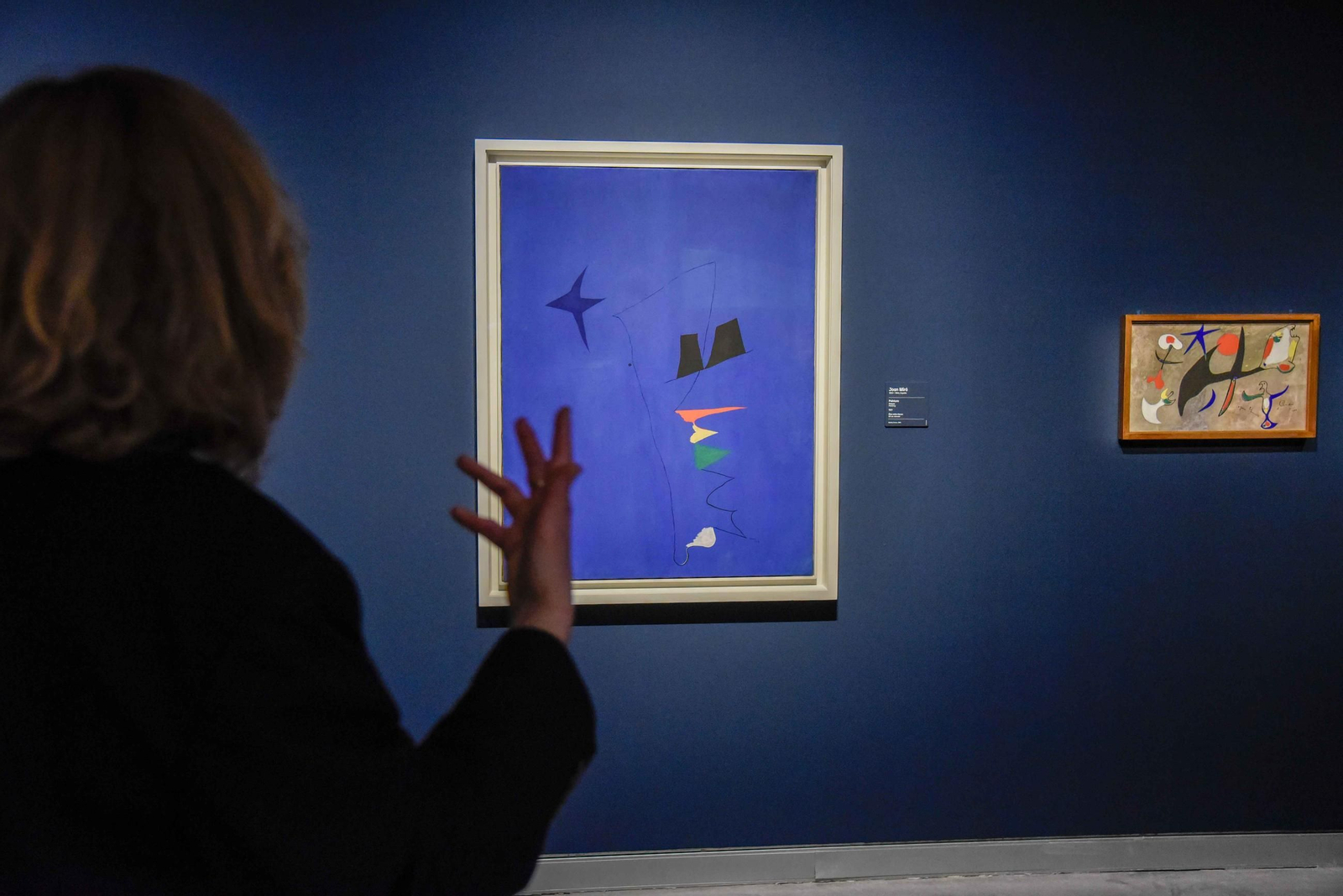 Caixa Fórum Sevilla inaugura la exposición “Arte y naturaleza: un siglo de biomorfismo”