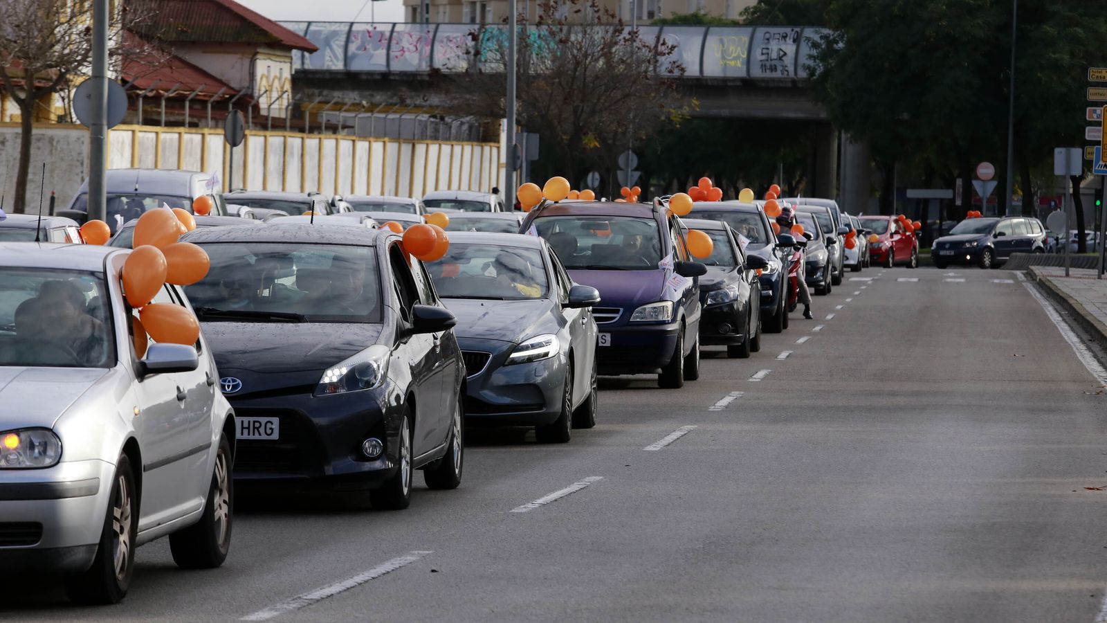 Imágenes de la manifestación en vehículos contra la Ley Celaá en Jerez